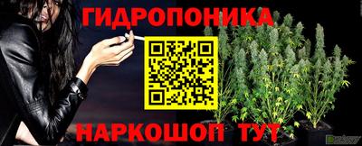 а пвп мука Свободный