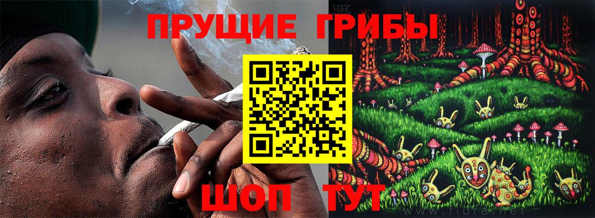 Псилоцибиновые грибы мицелий  Вход с VPN  Павлово 