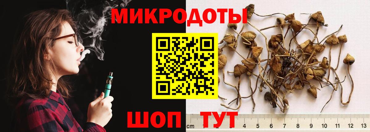 Галлюциногенные грибы MAGIC MUSHROOMS Павлово